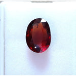 Load image into Gallery viewer, Ceylonese Gomed-(1100)