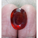 Load image into Gallery viewer, Ceylonese Gomed-(1221)