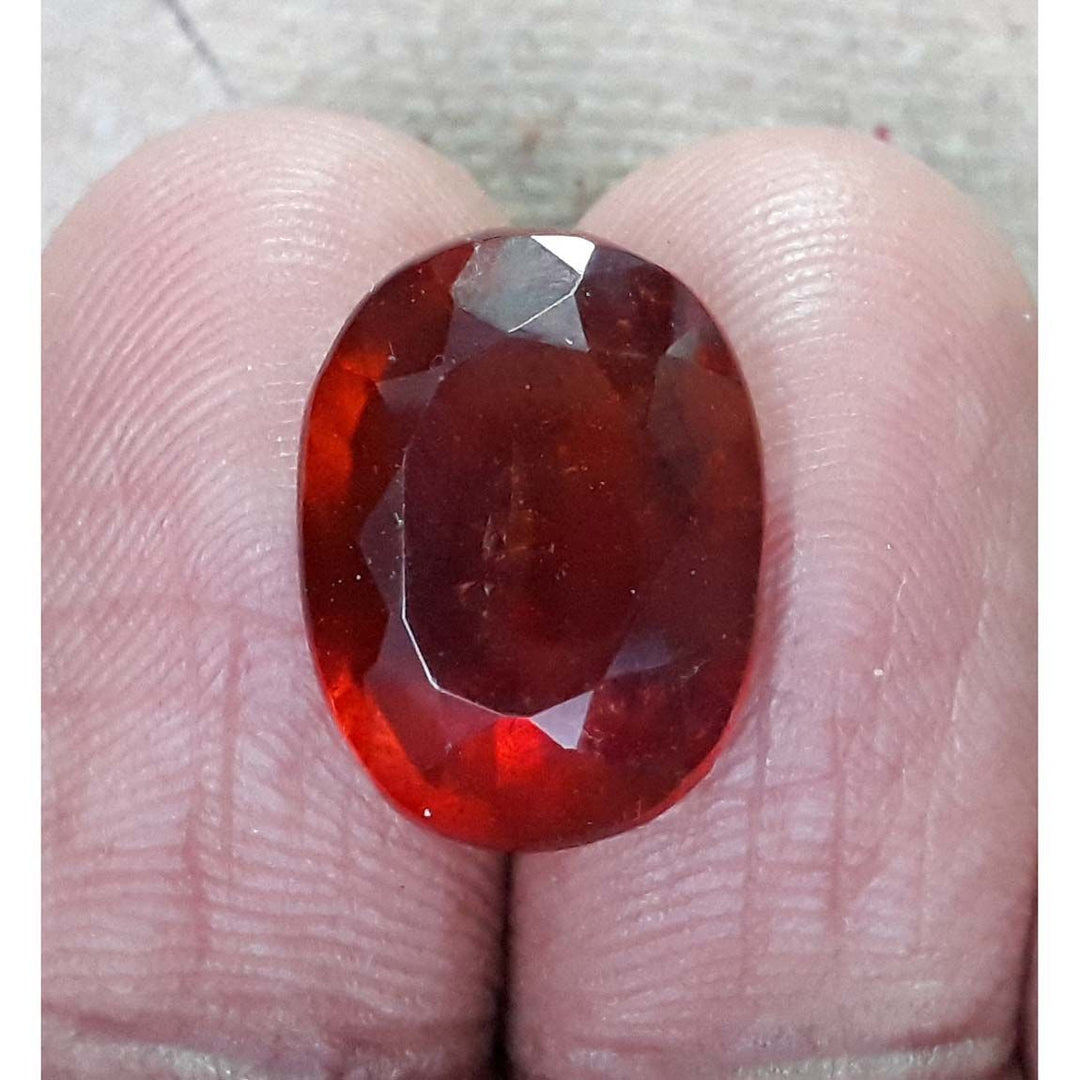 Ceylonese Gomed-(1221)