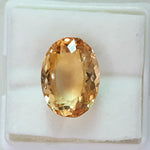 Load image into Gallery viewer, Goldan Topaz-450