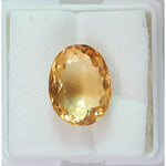 Load image into Gallery viewer, Goldan Topaz-450