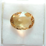 Load image into Gallery viewer, Goldan Topaz-450