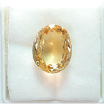 Load image into Gallery viewer, Goldan Topaz-450