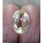 Load image into Gallery viewer, Goldan Topaz-450