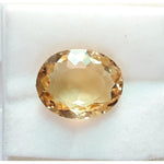 Load image into Gallery viewer, Goldan Topaz-450