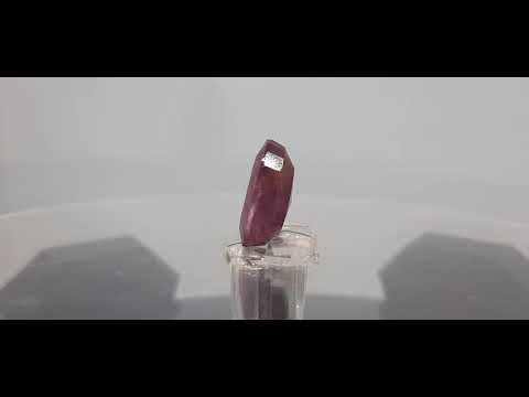 9.14 Ratti Natural Neo Burma Ruby with Govt Lab Certificate-(2331)