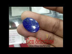 Load image into Gallery viewer, Lepis-Lazuli-450
