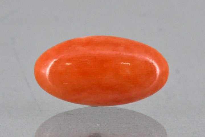 Natural Japanese Red Coral-6200