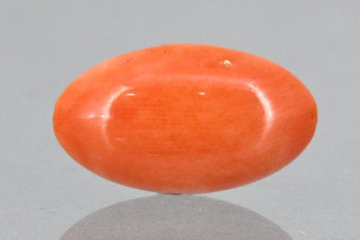 Natural Japanese Red Coral-6200 - Main Image