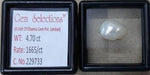 Load image into Gallery viewer, Keshi Pearl-1650