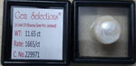 Load image into Gallery viewer, Keshi Pearl-1650