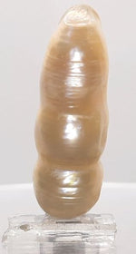 Load image into Gallery viewer, KESHI PEARL-230042-1650-27.10