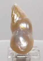 Load image into Gallery viewer, KESHI PEARL-230154-1650-16.95