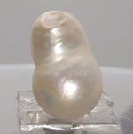 Load image into Gallery viewer, KESHI PEARL-230155-1650-12.60