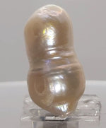 Load image into Gallery viewer, KESHI PEARL-230158-1650-19.60