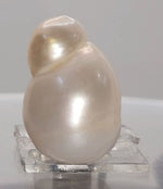 Load image into Gallery viewer, KESHI PEARL-230161-1650-17.15