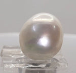 Load image into Gallery viewer, KESHI PEARL-230526-1650-8.30