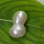Load image into Gallery viewer, Keshi Pearl