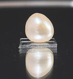 Load image into Gallery viewer, Keshi Pearl-1650