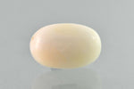 Load image into Gallery viewer, 15.01 Ratti White Coral-(1500)