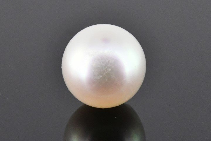 8.15/CT Natural South Sea Pearl with Govt. Lab Certificate (1550)