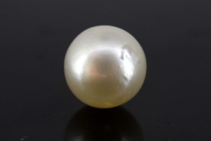 5.06/CT Natural South Sea Pearl with Govt. Lab Certificate-1550