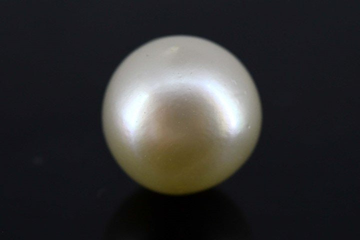 7.52/CT Natural South Sea Pearl with Govt. Lab Certificate-1550