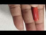 Load and play video in Gallery viewer, 12.62/CT Natural Red Coral With Govt. Lab Certificate (1800)
