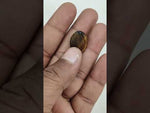Load and play video in Gallery viewer, 15.15/CT Tiger Eye with Govt. Lab Certificate-TGR00061
