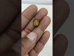 Load and play video in Gallery viewer, 4.88/CT Tiger Eye with Govt. Lab Certificate-TGR00049