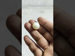 Load and play video in Gallery viewer, 29.69/CT Natural South Sea Pearl With Lab Certificate (1550)