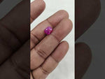 Load and play video in Gallery viewer, 2.99/CT Natural Old Burma Ruby with IIGJ Govt. Lab Certificate-15737S204526