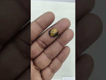 Load and play video in Gallery viewer, 5.4/CT Tiger Eye with Govt. Lab Certificate-TGR00128