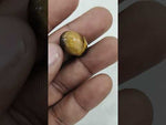 Load and play video in Gallery viewer, 15.55/CT Tiger Eye with Govt. Lab Certificate-TGR00070