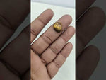 Load and play video in Gallery viewer, 8.25/CT Tiger Eye with Govt. Lab Certificate-TGR00008