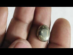 Load and play video in Gallery viewer, 11.85/ CT GOLDEN PYRITE (150)