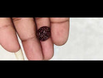 Load and play video in Gallery viewer, 0.790 Gram Natural Two Mukhi Rudraksha with Govt. Lab Certificate-KG615127