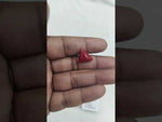 Load and play video in Gallery viewer, 8.33/CT Natural Red Coral With Govt. Lab Certificate-10952D44234