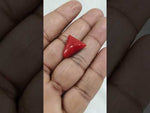Load and play video in Gallery viewer, 11.14/CT Natural Red Coral With Govt. Lab Certificate-11006D44464