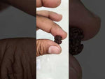 Load and play video in Gallery viewer, 0.820 Gram Natural Two Mukhi Rudraksha with Govt. Lab Certificate-KG615129