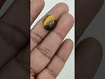 Load and play video in Gallery viewer, 11.85/CT Tiger Eye with Govt. Lab Certificate-TGR00040