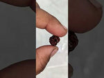 Load and play video in Gallery viewer, 0.900 Gram Natural Two Mukhi Rudraksha with Govt. Lab Certificate-KG615130