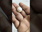 Load and play video in Gallery viewer, 32.55/CT Natural South Sea Pearl With Lab Certificate (1550)