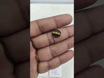 Load and play video in Gallery viewer, 5.3/CT Tiger Eye with Govt. Lab Certificate-TGR00120