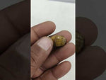 Load and play video in Gallery viewer, 8.25/CT Tiger Eye with Govt. Lab Certificate-TGR00063