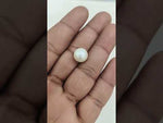 Load and play video in Gallery viewer, 9.20/CT Natural South Sea Pearl With Lab Certificate-15808S204904