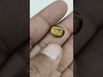 Load and play video in Gallery viewer, 5.3/CT Tiger Eye with Govt. Lab Certificate-TGR00085