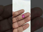 Load and play video in Gallery viewer, 3.73/CT Natural Ruby Stone with Govt. Lab Certificate-16016S205955