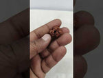 Load and play video in Gallery viewer, 3.050 Gram Natural Three Mukhi Rudraksha with Govt. Lab Certificate-KG615114