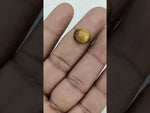 Load and play video in Gallery viewer, 6/CT Tiger Eye with Govt. Lab Certificate-TGR00080